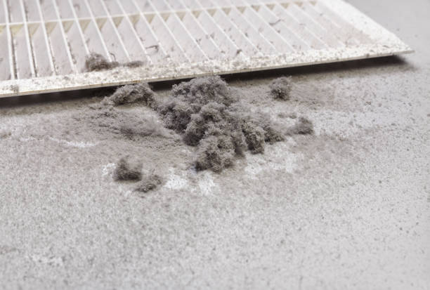 Best Best Air Duct Cleaning Company  in Wilsons Mills, NC