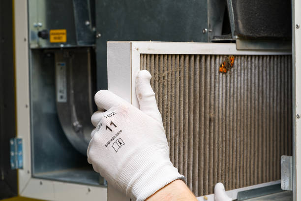 Best Local Air Duct Cleaning Services  in Wilsons Mills, NC
