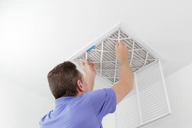 Best Professional Duct Cleaning Services  in Wilsons Mills, NC